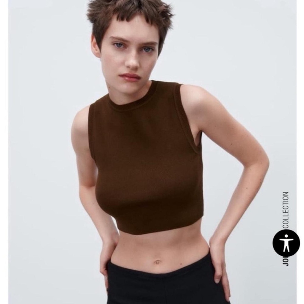 Zara Brown Sleeveless Crop Top